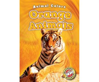 Orange_Animals